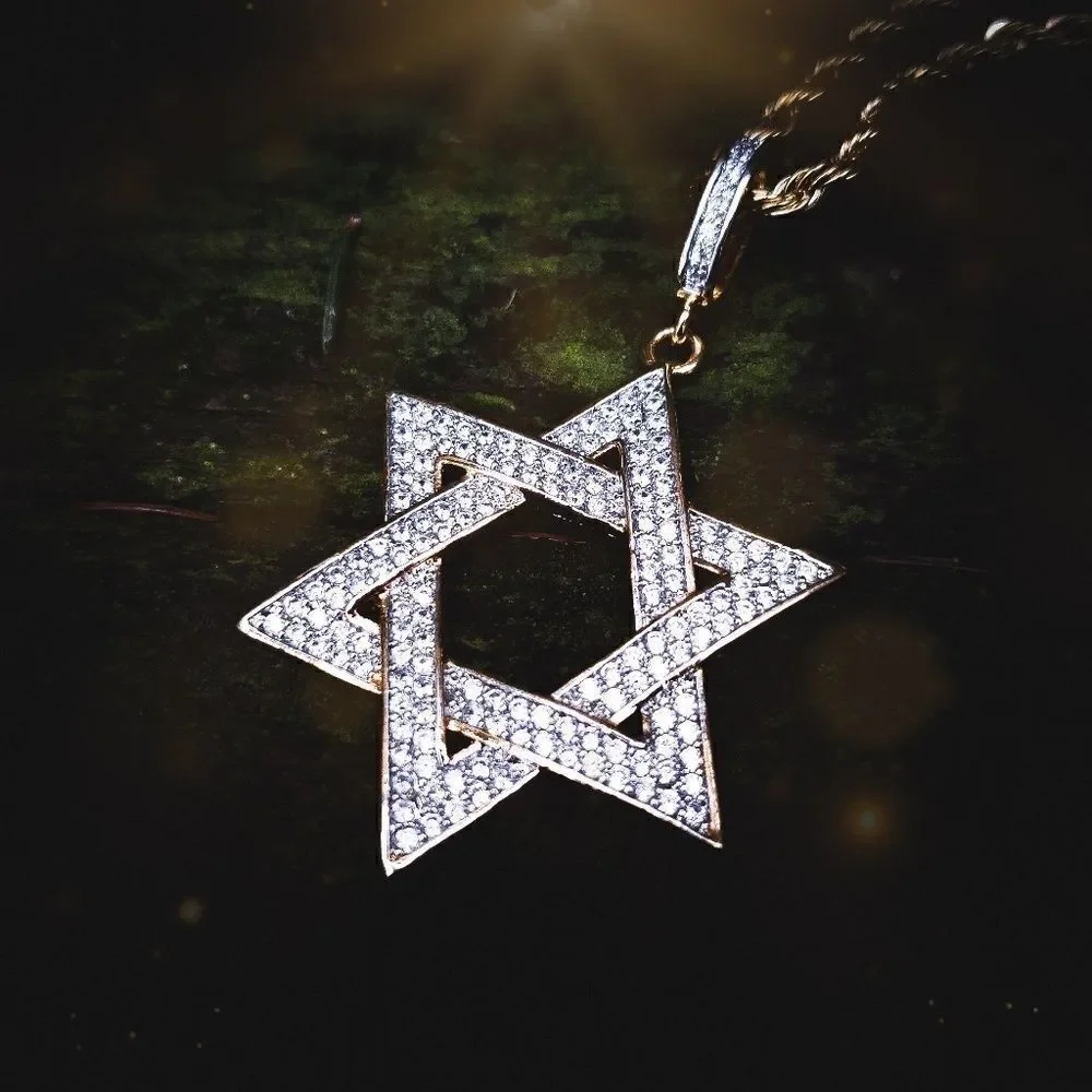 14k Gp Stainless steel Star of David Necklace